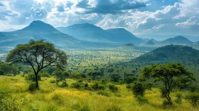 Backpacking Through East Africa: A Budget Traveler’s Dream