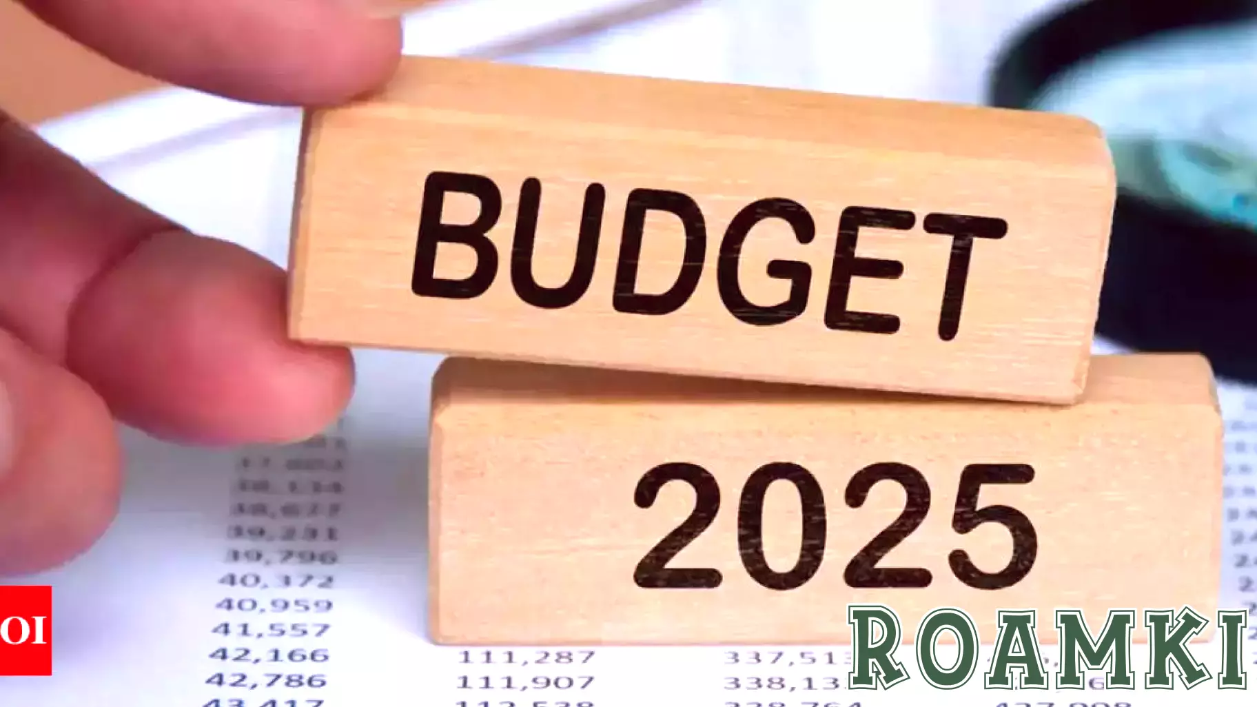 Anticipations for Budget 2025: Travel and Tourism Industry Calls for Innovation and Sustainability